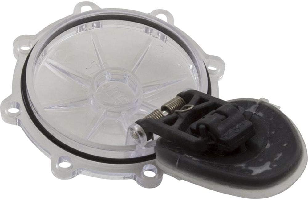 PENTAIR Pentair 263042Z 2-Inch 2-Way Check Valve Replacement Kit Diverter Pool and Spa Valve