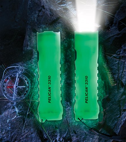 PELICAN WIRELESS SYSTEMS Pelican 033100-0102-247 Photo Luminescent Flashlight NiCd