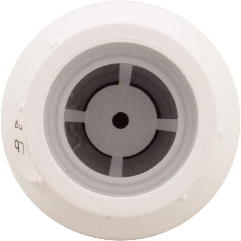 FLO CONTROL Flo Control 1011-10 Check Valve 1/2lb Spring Water
