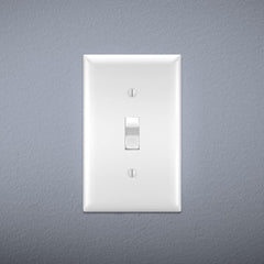 Pass & Seymour CSB20AC2W 20A 250V Duplex Receptacle