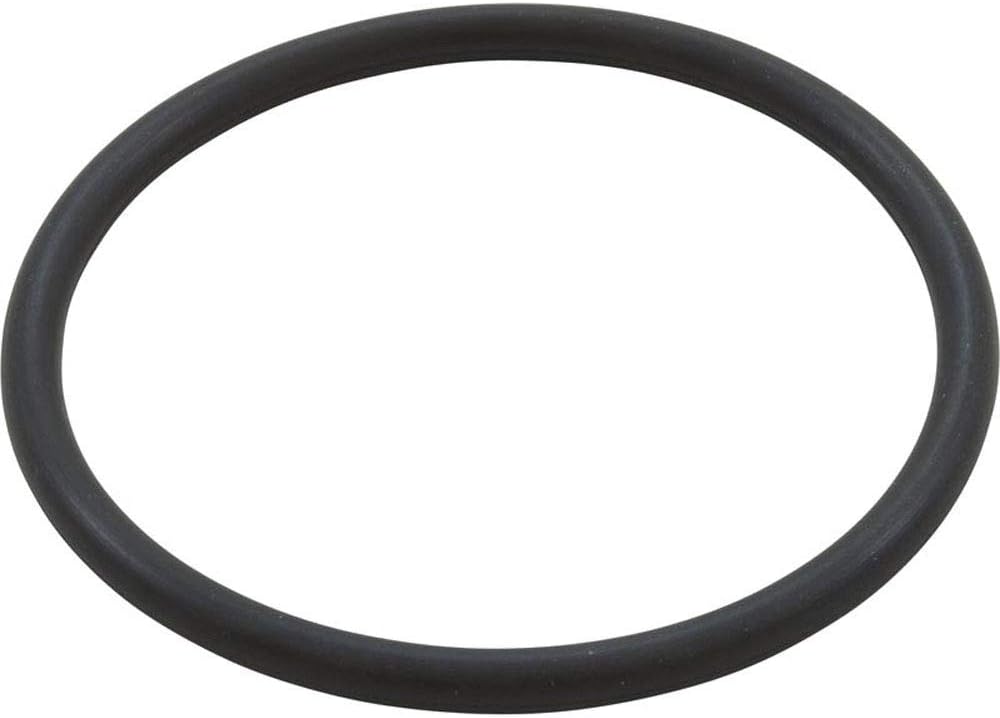PENTAIR 350336 POOL O-RINGS & GASKETS