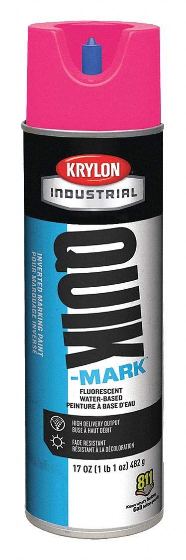 KRYLON A03612004 PAINT SUPPLIES