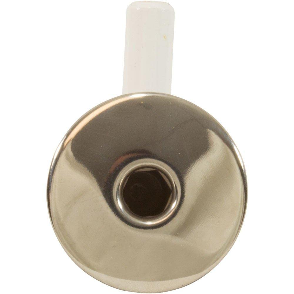 WATERWAY PLASTICS Waterway Plastics 670-2550 Ozone Air Injector 3/8 Inch Barb Stainless Steel Escutcheon