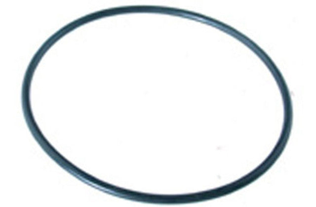 PENTAIR 16920-0012 O-RINGS & GASKETS