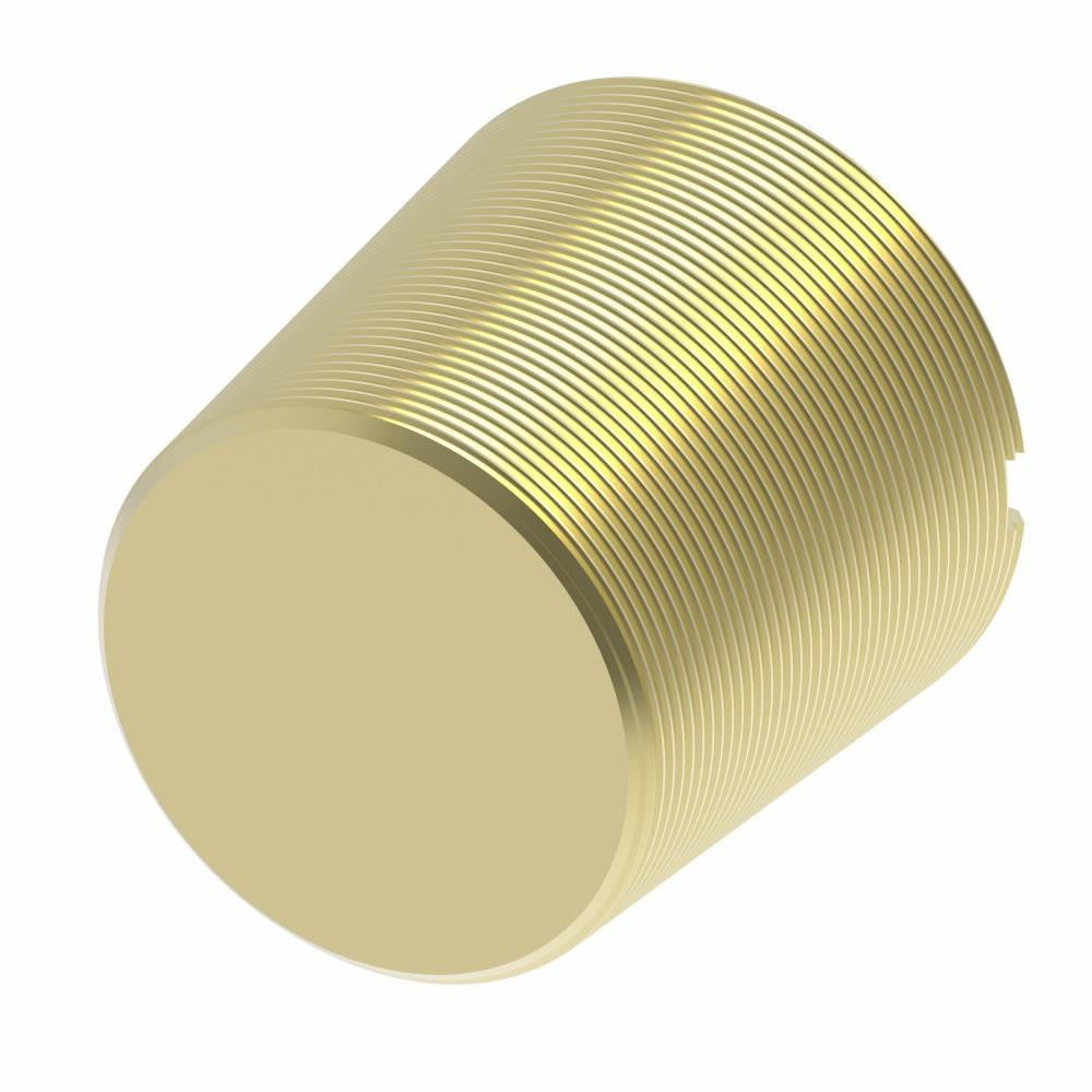 EATON Eaton 3150X6 Slotted Pipe Plug 3/8 in Mnptf 1200 Psi Brass
