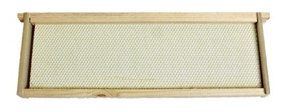 HARVEST LANE HONEY Harvest Lane Honey WWFFM-102-5 Medium Beehive Frame 5 Pack