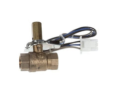 CLEVELAND Cleveland FK110613 Drain Valve 5A @ 125/250 VAC (Each) Replaces 110613