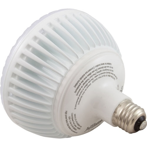 J & J ELECTRONICS J&J Electronics 26910 ColorSplash LXG-W Series RGB + White LED Pool Lamp | 120V | LPL-P2-RGBW-12