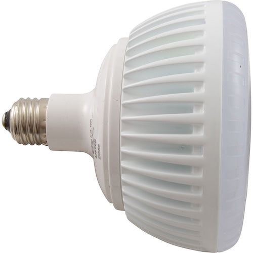 J & J ELECTRONICS J&J Electronics 26910 ColorSplash LXG-W Series RGB + White LED Pool Lamp | 120V | LPL-P2-RGBW-12