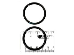 PENTAIR E21 O-RINGS & GASKETS
