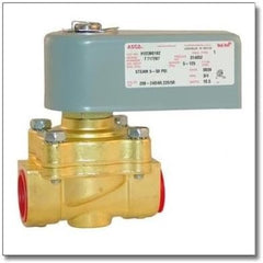 STERO Stero P542816 Solenoid 240V (3/4) STRP542816
