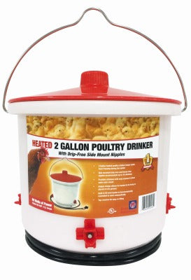 FARM INNOVATORS Farm Innovators HB-60P Heated Poultry Drinker 2 Gallon 60W