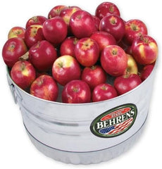 BEHRENS Behrens 32S 1-Bushel Basket Round Galvanized Steel Tub 1-Pack