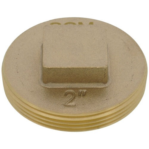 SIOUX CHIEF Sioux Chief 876-RS20 Raised Square Head Cleanout Plug (2 in)
