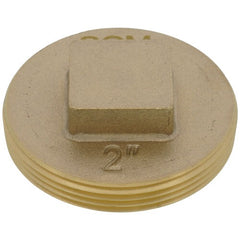 SIOUX CHIEF Sioux Chief 876-RS20 Raised Square Head Cleanout Plug (2 in)