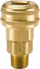 PARKER Parker B34C Male Nptf Pneumatic Hose Coupler 3/8 in Brass