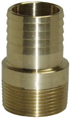 ASHLAND Ashland Water Group MA75NL 3/4 Inch Brass Male Adapter