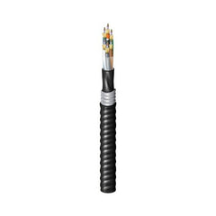 BELDEN Belden Inc. FD4D096FK 96F OM4 Distribution Fiber Cable