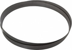 LENOX Lenox 79645CLB113505 Welded Bandsaw Blade 8-12 Tpi