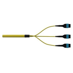 ORTRONICS Ortronics CAMAMC63SAJMM1100F 24-strand Sm Plenum Fiber Trunk