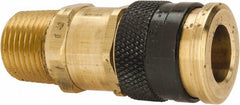 PARKER Parker 30KAAN21SPN Pneumatic Hose Coupler 3/8 in Brass Nptf