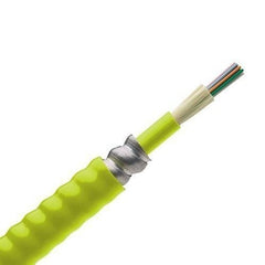 PANDUIT Panduit FOPPW24Y 50um OM5 24 Fiber Indoor Armored Cable
