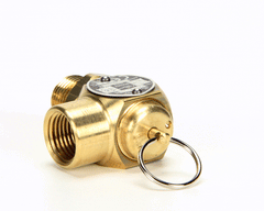 CLEVELAND Cleveland KE54941-5 Safety valve 50# (1/2 x 1/2) CLEKE54941-5