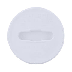 Charlotte Pipe 03293 4 Cleanout Plug (Flush) - MIP - PVC DWV