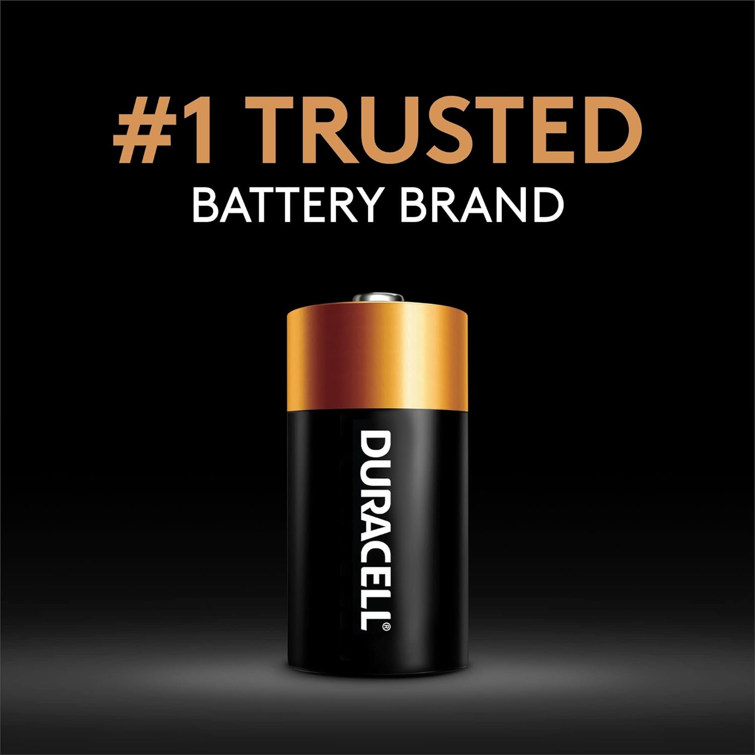DURACELL Duracell DURMN1300B2Z CopperTop D Alkaline Batteries 1.5V 2/Pack