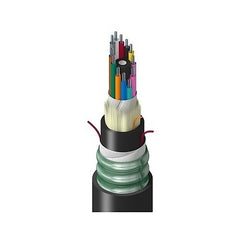 BELDEN Belden Inc. TTSLD144LTNN 144-fiber OS2 Lszh Cable