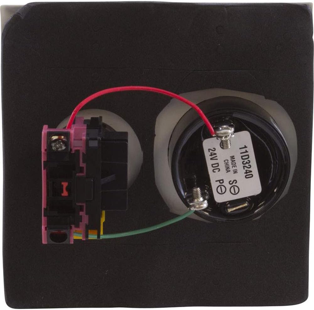 PENTAIR Pentair ESO2 Double Gang Plate Shut-Off Switch with Alarm for ComPool Pool and Spa Control System
