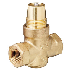 SIEMENS 599-02006 GLOBE VALVES