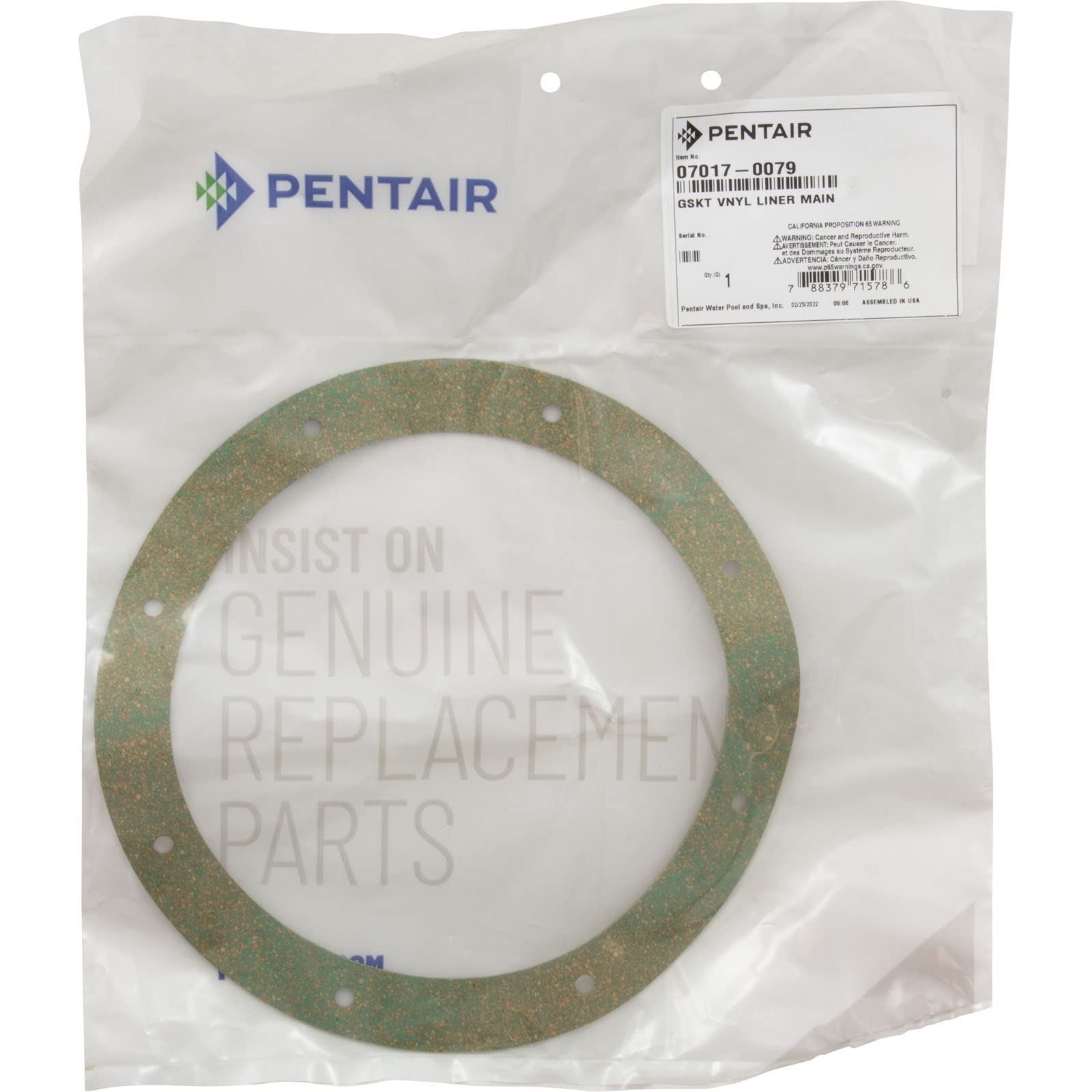 PENTAIR Pentair 07017-0079 Gasket Replacement StaRite Vinyl/StarGuard Main Drain