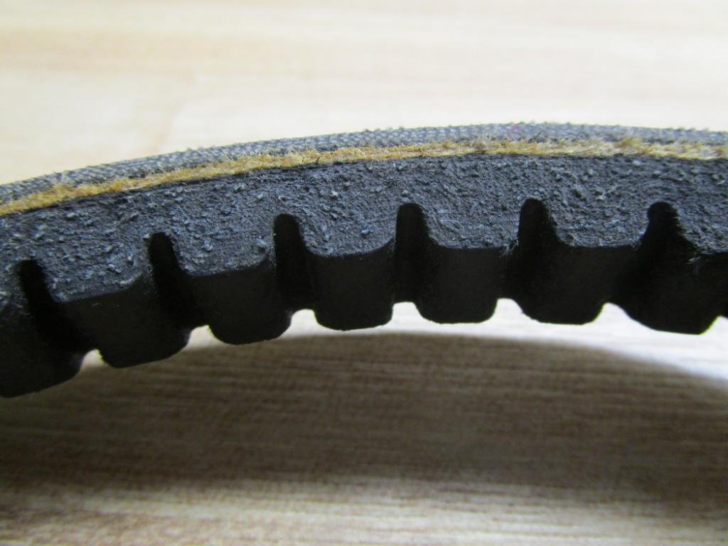 BROWNING Browning BX83 Gripnotch Belt BX Belt Section 84.8 Inch Pitch Length
