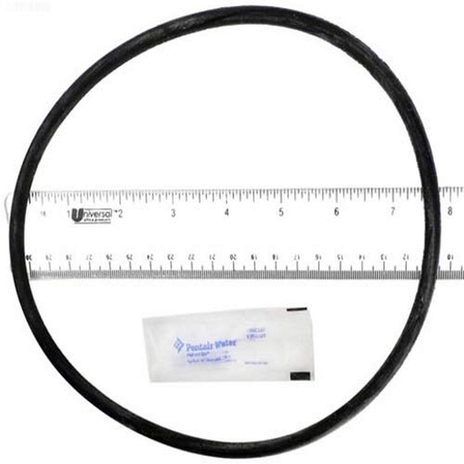 PENTAIR 25200-0011S POOL O-RINGS & GASKETS