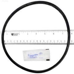 PENTAIR 25200-0011S POOL O-RINGS & GASKETS