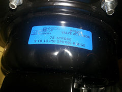 Johnson Controls VG7842ST+823D00 Brass Trim Globe Valve