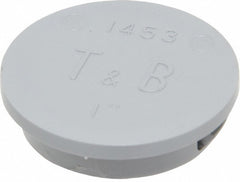 THOMAS & BETTS Thomas Betts 1453 Knockout Plug 1 Inch Rigid Imc Conduit