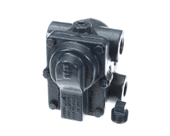 JACKSON Jackson 06680-500-02-77 Steam Trap F and T (3/4 inch NPT)