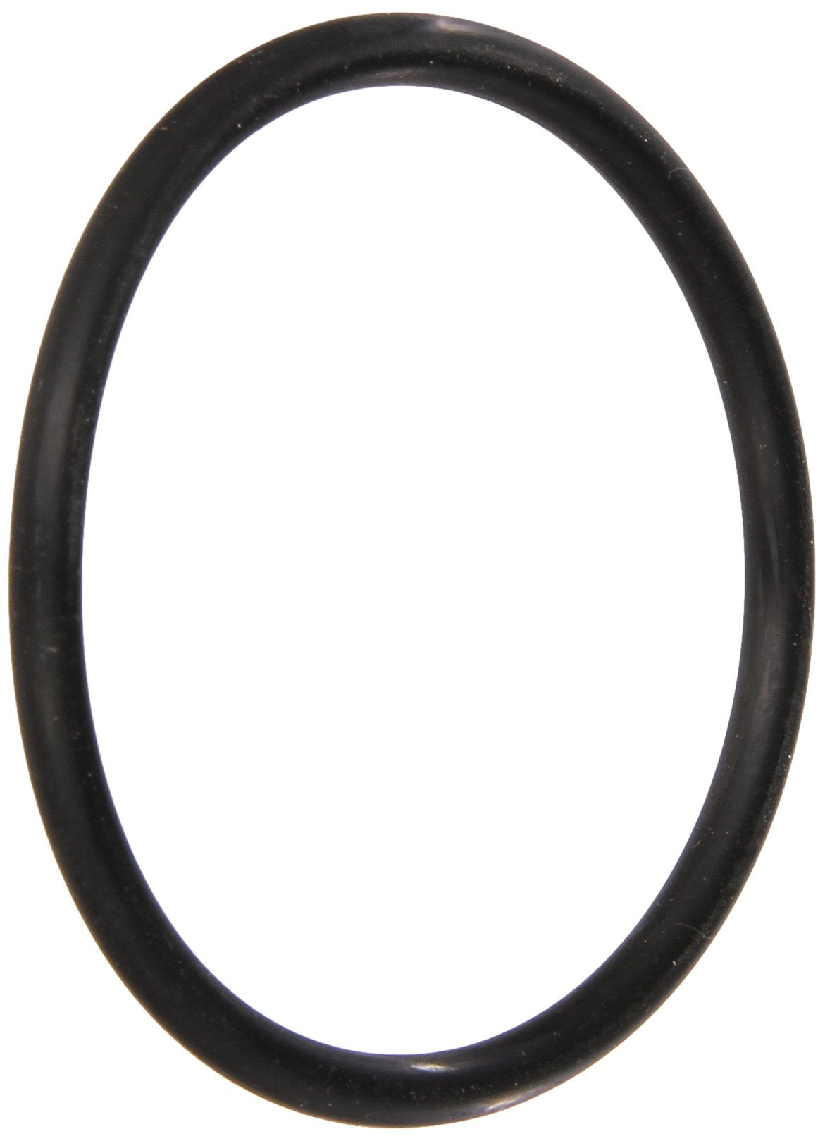 PENTAIR 79128900 POOL O-RINGS & GASKETS