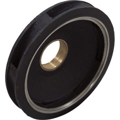 PENTAIR C101-126 POOL & SPA PUMP PARTS