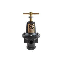 COILHOSE PNEUMATICS Coilhose Pneumatics 8802H Air Regulator 1/4 Npt 250 Psi
