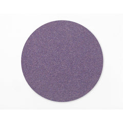 3M 3M 7100064174 Cubitron II Hookit Film Disc (5 in Dia) 7100064174-31180