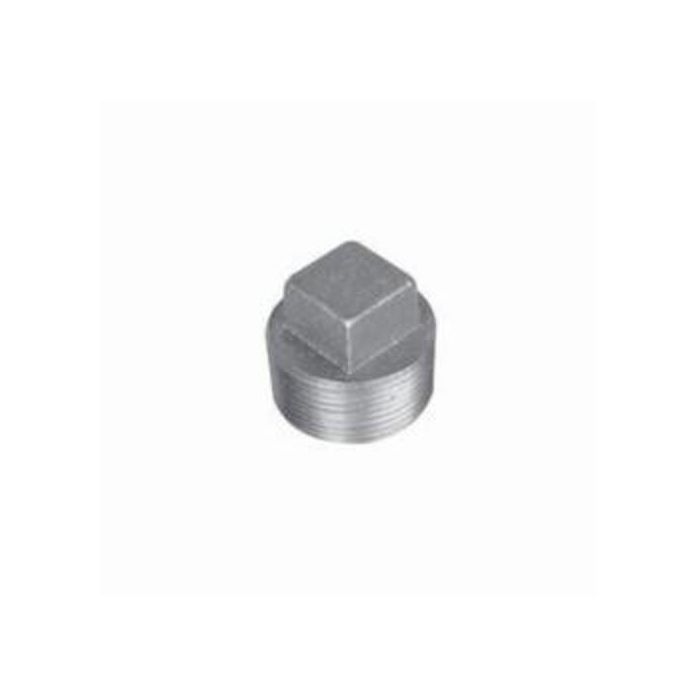 WARD Ward E.BSSP PLUG PIPE CS 3/4IN THD BK OXD PLUG DOM