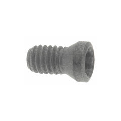SECO TOOLS Seco 02436148 Lock Screw Indexable TP8 Torx Plus M2.5