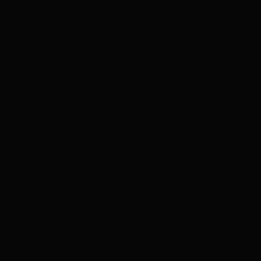 RUST-OLEUM 245403 PAINT SUPPLIES