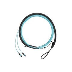 PANDUIT Panduit F9TRP5NQSSNF019 OS2 12-fiber Mpo Harness