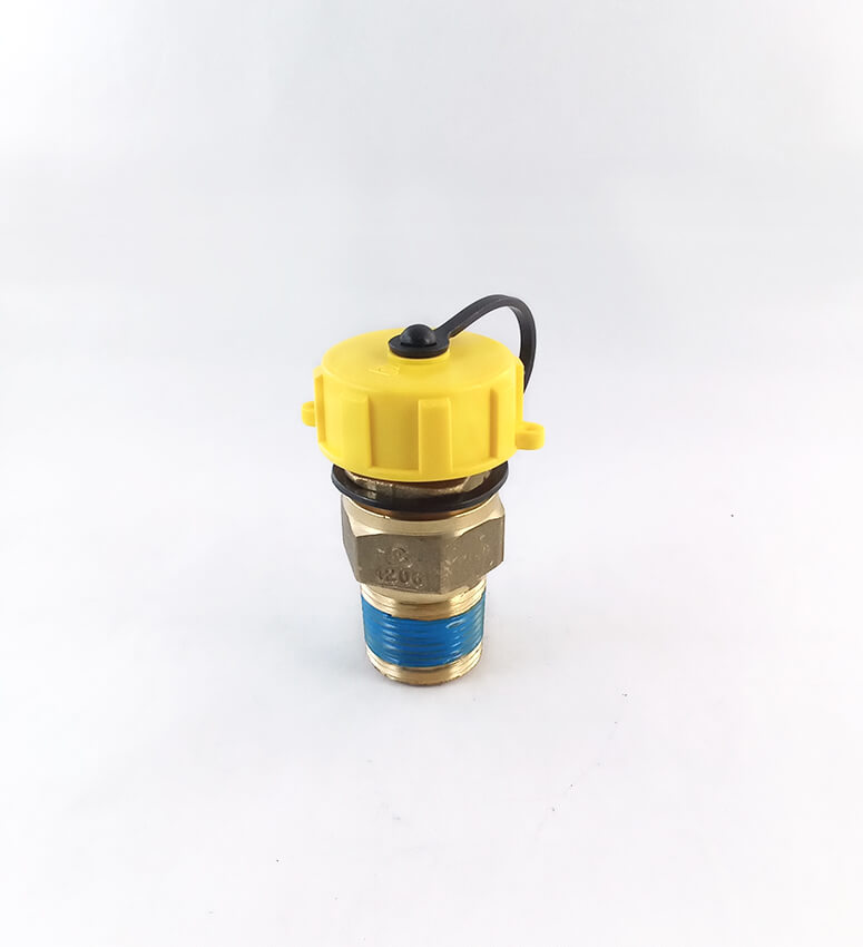 CAVAGNA Cavagna 6602901206 Vapor Return Check Valve (3/4 inches M NPT x 1-1/4 inches M ACME)