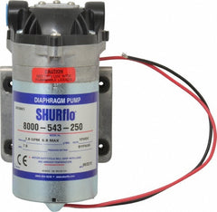 PENTAIR Pentair 8000-543-250 Diaphragm Spray Pump 0.10 Hp