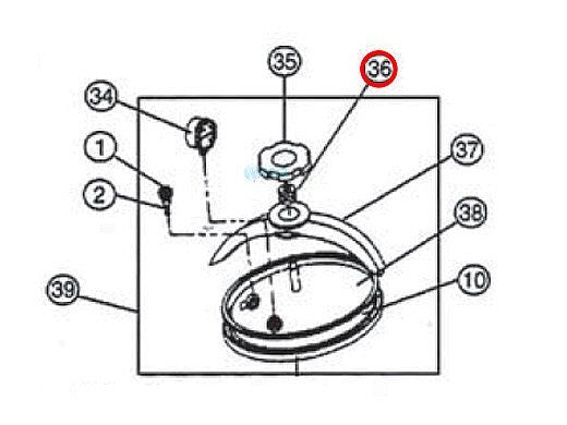 PENTAIR 154582 POOL SWITCHES